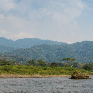 Tarcoles river